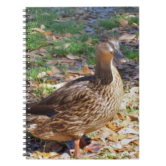 Mallard Anka Spiral fotopatbok för fotfoto Anteckningsbok (Framsidan)