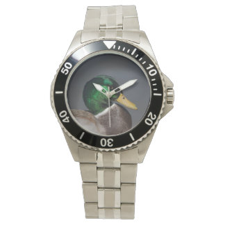Mallard Anka Stainless Steel Manar bevakning Drake Armbandsur