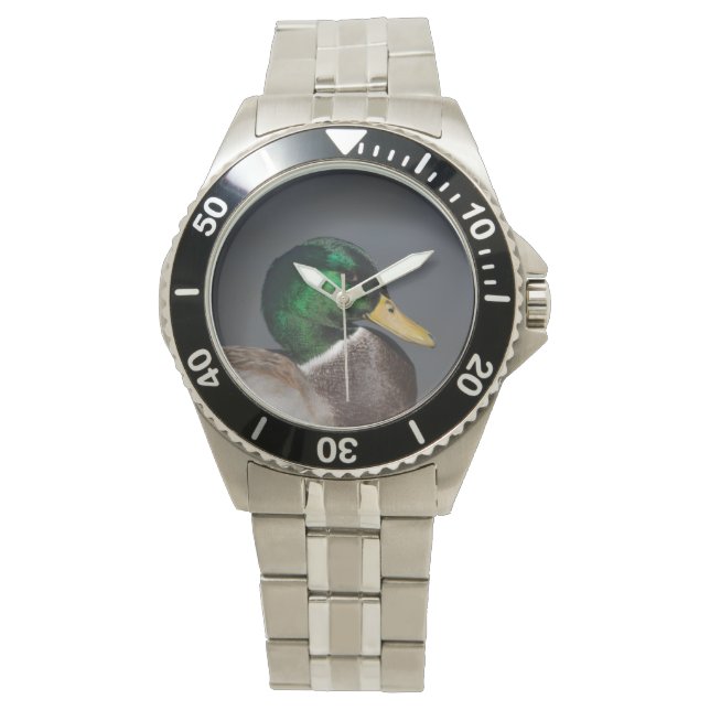 Mallard Anka Stainless Steel Manar bevakning Drake Armbandsur (Framsida)