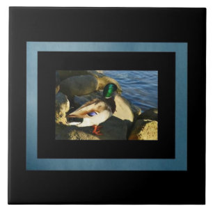 Mallard Anka Tile Kakelplatta