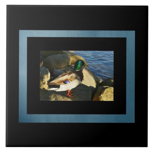 Mallard Anka Tile Kakelplatta (Framsidan)