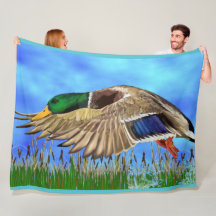Mallard Anka under flygning