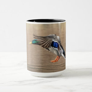 Mallard Anka under flygning Mugg