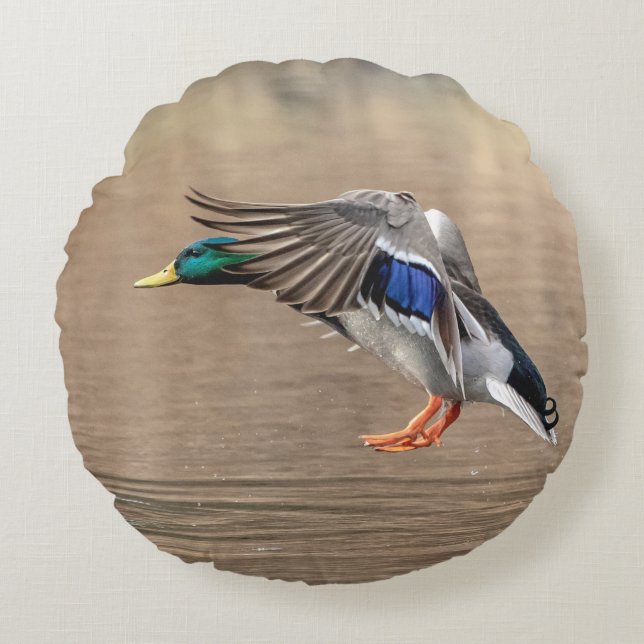 Mallard Anka under flygning Rund Kudde (Framsidan)