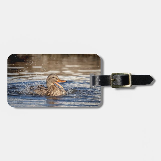 Mallard Anka vid Downing Park Bagagebricka (Horisontell Framsida)
