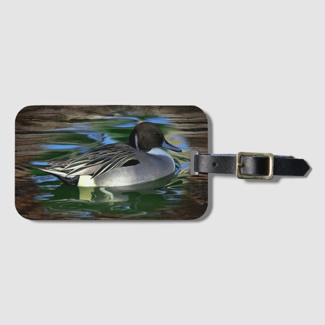 Mallard Anka vid Sjö Bagagebricka (Framsida horisontal)