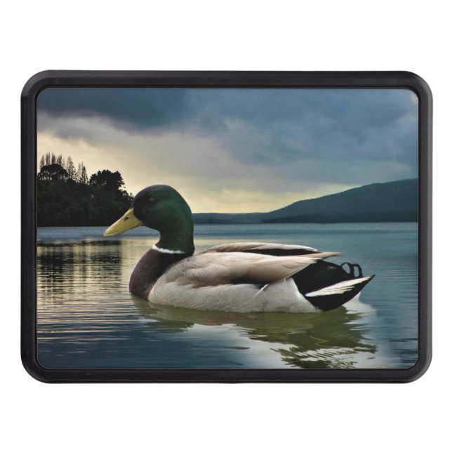 Mallard Anka vid Sjö Dragkroksskydd (Framsidan)