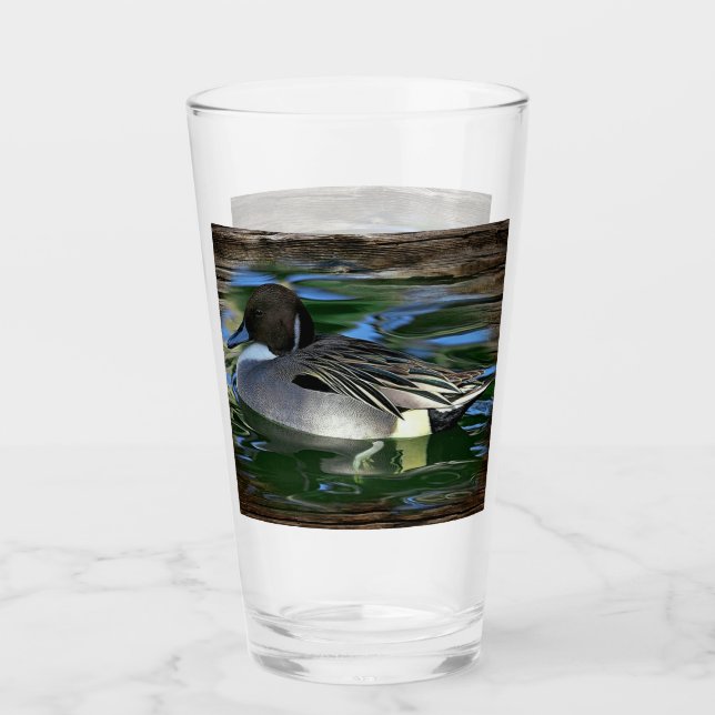 Mallard Anka vid Sjö Glaskopp (Framsida)