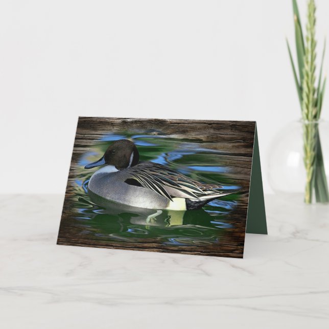 Mallard Anka vid Sjö Kort (Framsida)