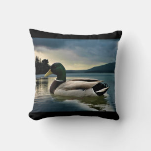 Mallard Anka vid Sjö Kudde
