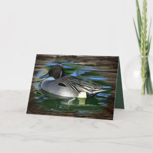 Mallard Anka vid Sjö Tack Kort