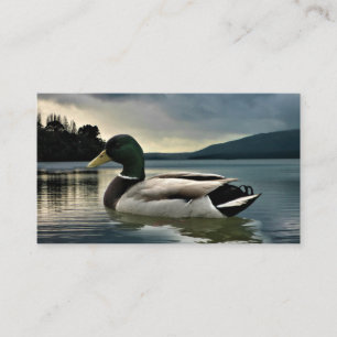 Mallard Anka vid Sjö Visitkort