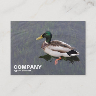 Mallard Anka Visitkort