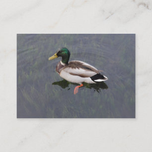 Mallard Anka Visitkort