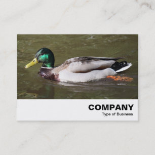 Mallard Anka Visitkort