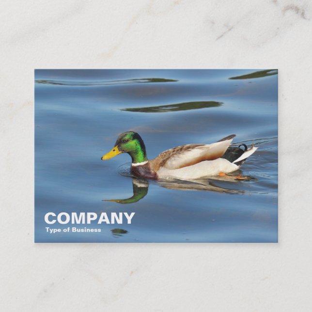 Mallard Anka Visitkort (Framsida)