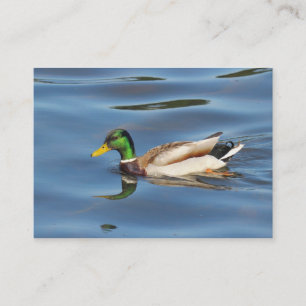 Mallard Anka Visitkort