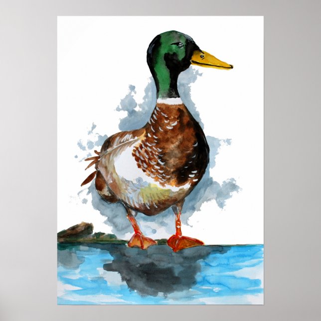 Mallard Anka Watercolor Poster (Framsidan)