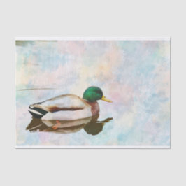 Mallard Anka Watercolor Tissue Paper