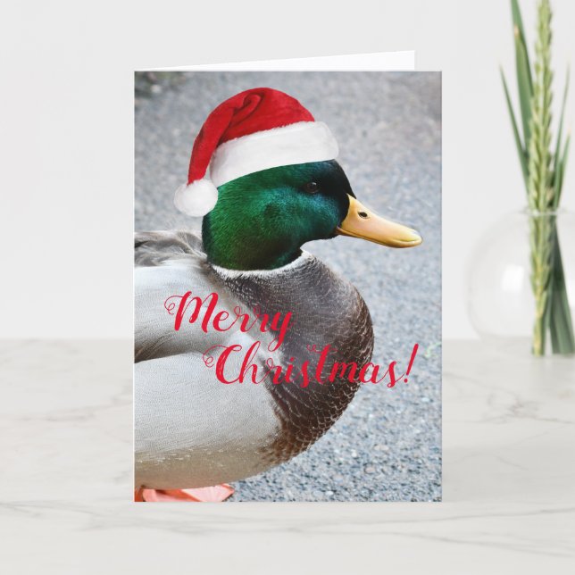 Mallard Anka Wearing Red Santa Hat Helgdag Card Helgkort (Framsida)