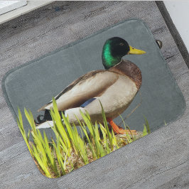 Mallard Anka Wildlife Photo Badrumsmatta