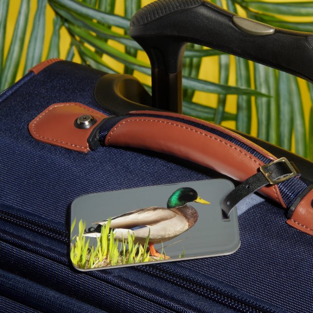 Mallard Anka Wildlife Photo Bagagebricka (Framsida Insitu 3)