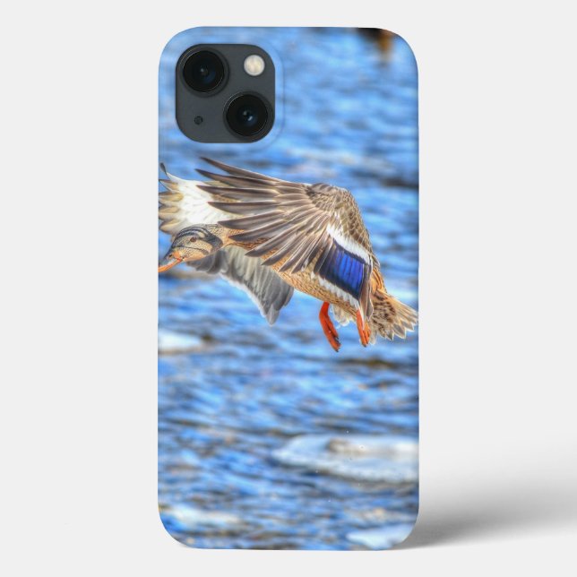 Mallard Anka Wildlife Photo for Bird-älskare (Baksida)