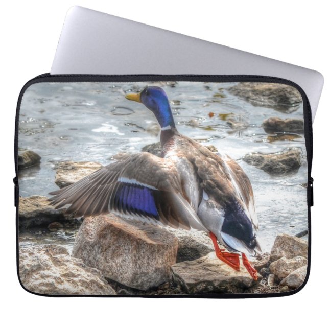 Mallard Anka Wildlife Photo for Bird-älskare Laptop Sleeve (Framsidan)