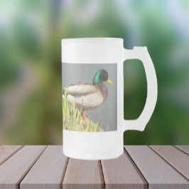Mallard Anka Wildlife Photo Frostat Ölglas