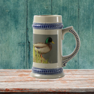 Mallard Anka Wildlife Photo Sejdel