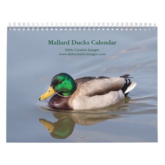 Mallard Ankor 2026 Kalender (Omslag)