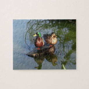 Mallard Ankor #2 Pussel
