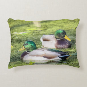Mallard Ankor Dekorativ kudde