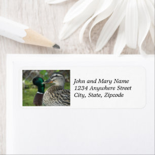 Mallard Ankor Nature Photo Returadress Etikett