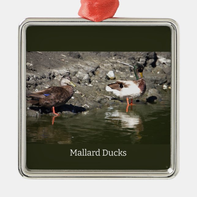 Mallard Ankor Ornament (Framsidan)