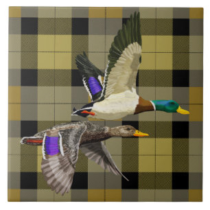 Mallard Ankor på Play Kakelplatta