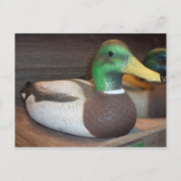 Mallard Decoy