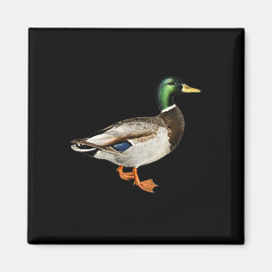 Mallard Drake Anka Ficklogotyp Mallard Ankor Jakt Magnet