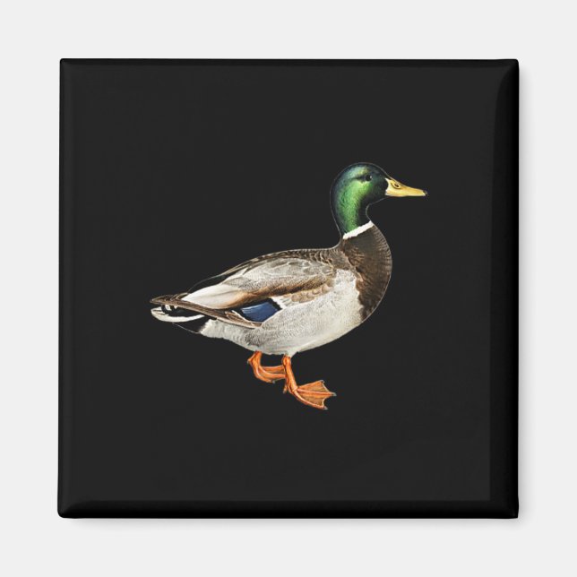 Mallard Drake Anka Ficklogotyp Mallard Ankor Jakt Magnet (Framsidan)