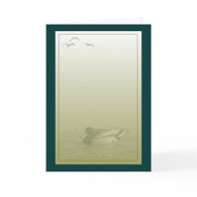 Mallard Drake Anka Hälsning