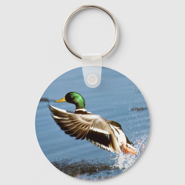 Mallard Drake Anka Nyckelring (Framsida)