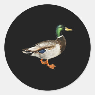 Mallard Drake Anka Pocket Logotyp Mallard Ankor Hu Runt Klistermärke