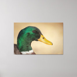 Mallard Drake Canvastryck