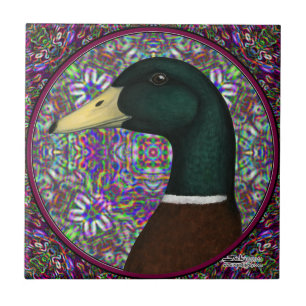 Mallard Drake Mosaic Circle Kakelplatta