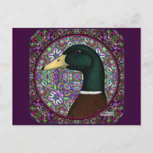 Mallard Drake Mosaic Circle Vykort