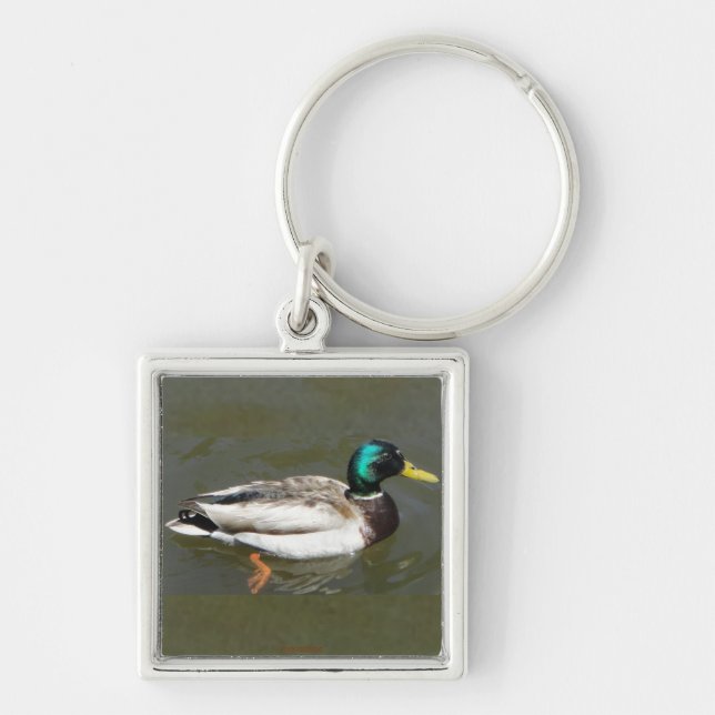 Mallard drake nyckelring (Framsidan)