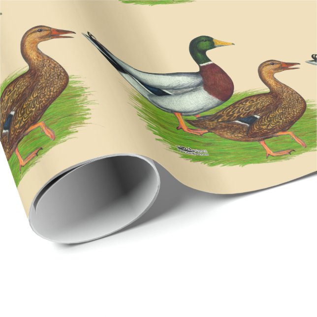 Mallard Drake och Anka Presentpapper (Rullad Hörn)