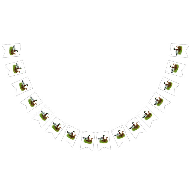 Mallard Drake och Anka Vimplar (Alla)