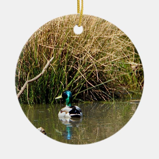 Mallard Drake Ornament (Framsidan)