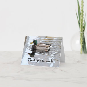 Mallard Drake Poster Tack Kort